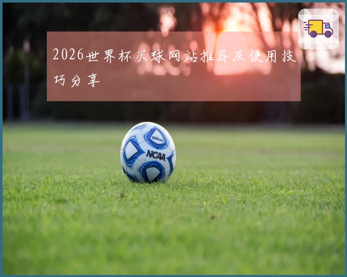 2026世界杯买球网站推荐及使用技巧分享