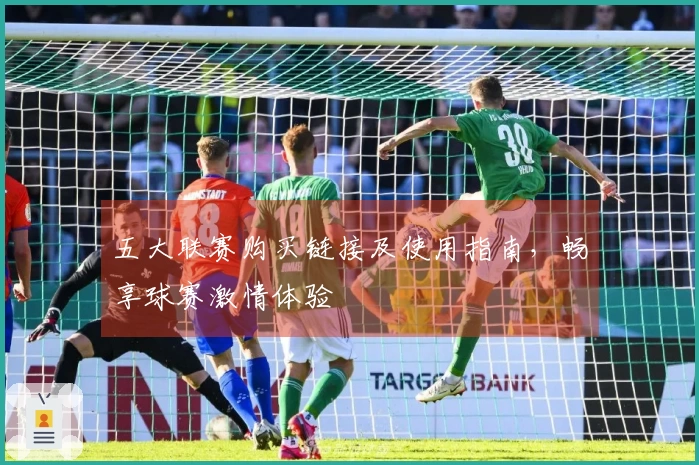 五大联赛购买链接及使用指南，畅享球赛激情体验