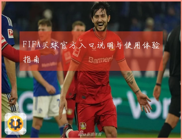 FIFA买球官方入口说明与使用体验指南