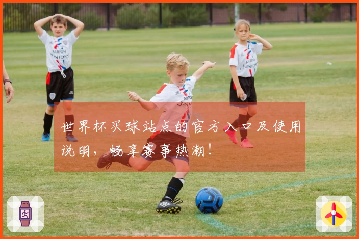世界杯买球站点的官方入口及使用说明，畅享赛事热潮！