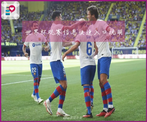 世界杯观赛信息快速入口说明