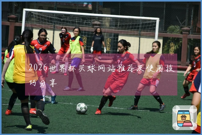 2026世界杯买球网站推荐及使用技巧分享