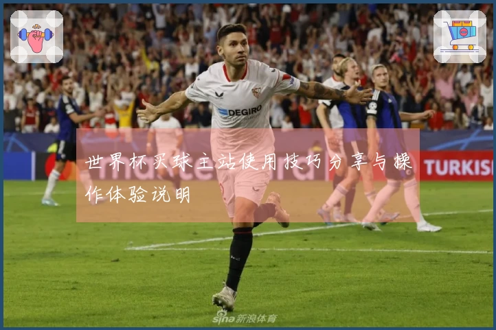 世界杯买球主站使用技巧分享与操作体验说明