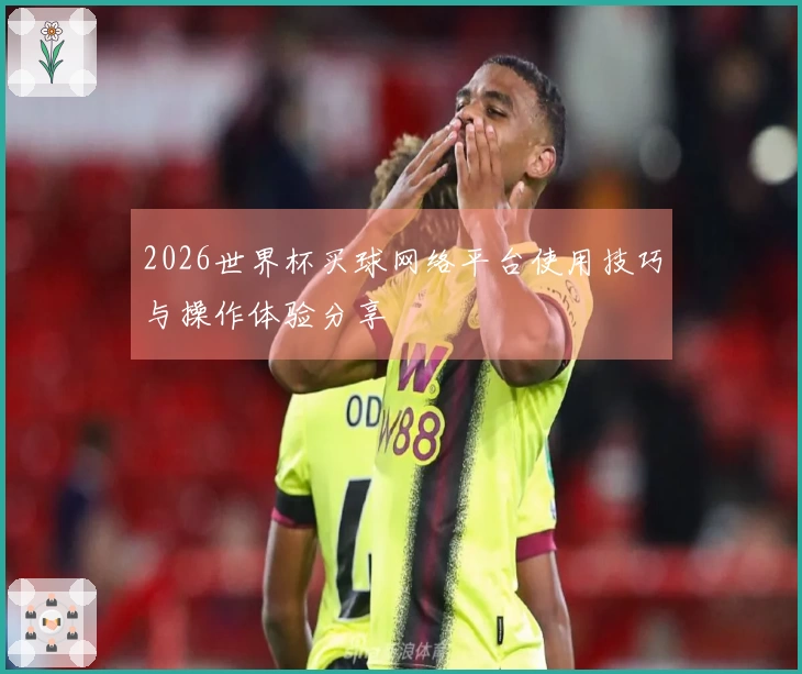 2026世界杯买球网络平台使用技巧与操作体验分享
