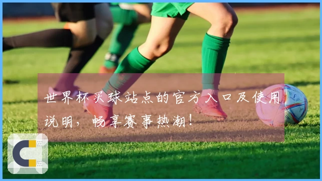 世界杯买球站点的官方入口及使用说明，畅享赛事热潮！