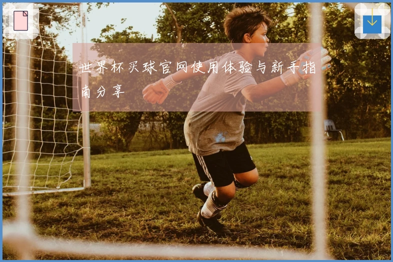 世界杯买球官网使用体验与新手指南分享
