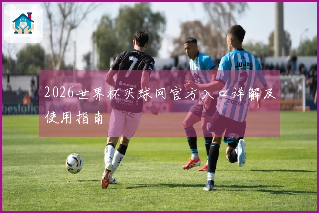 2026世界杯买球网官方入口详解及使用指南